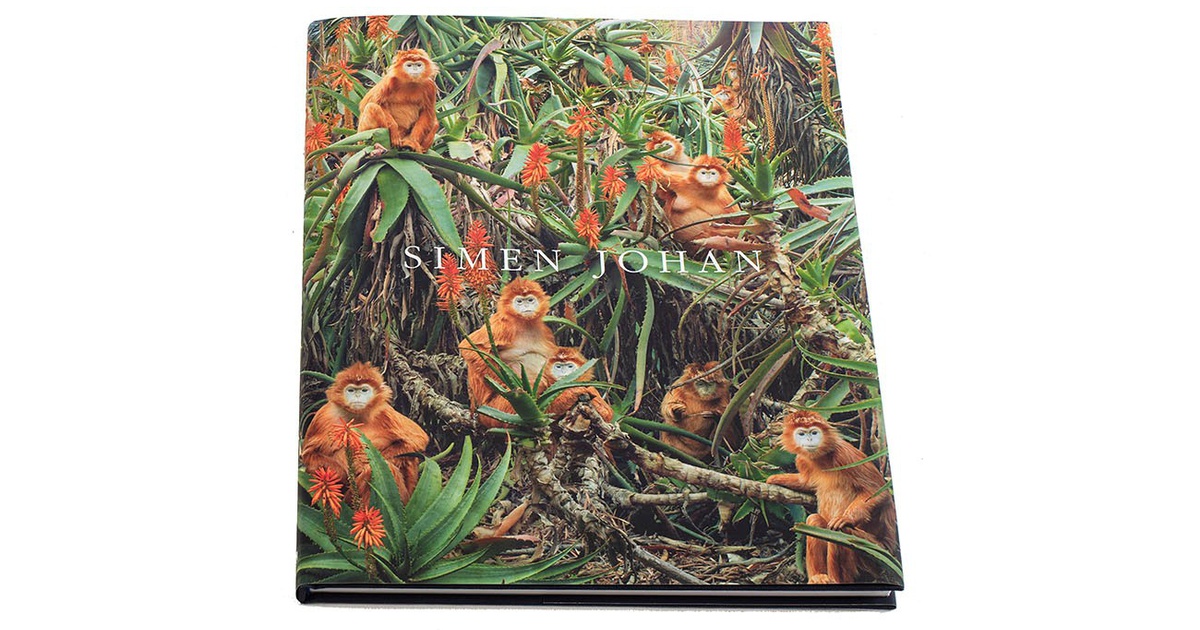 Simen Johan Publications Yossi Milo